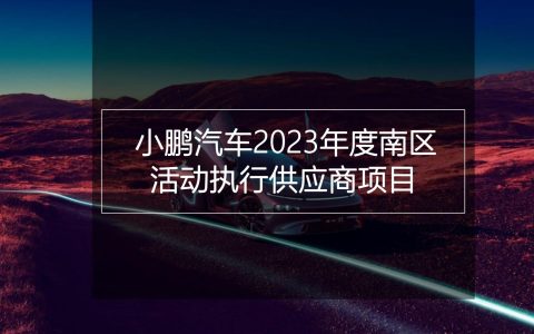 2023小鹏汽车年度南区活动执行方案（115P）