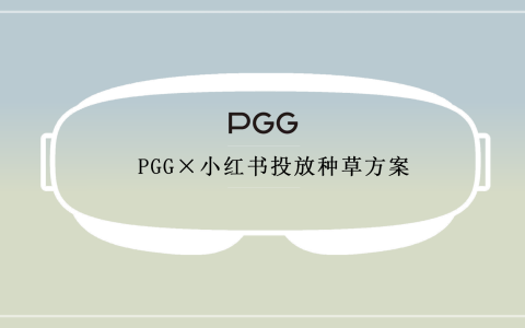 PGG小红书投放种草规划对外版本