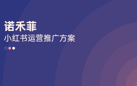 2023诺禾菲小红书运营推广方案