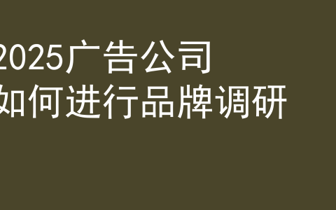 2025品牌调研策略通案