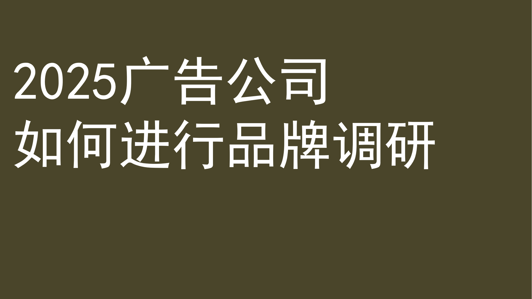 2025品牌调研策略通案