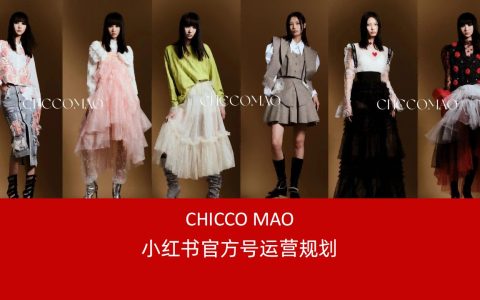 设计师品牌chicco mao（服装）小红书运营规划