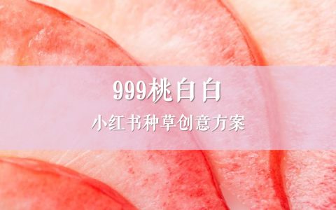 999桃白白小红书种草创意方案