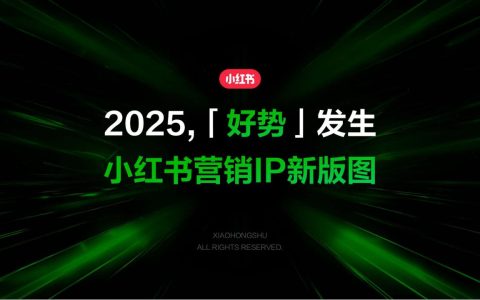 ⭕2025小红书营销IP新版图