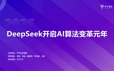 🆓2025年DeepSeeK开启AI算法变革元年