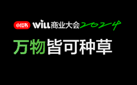 🆓2024小红书WILL商业大会PPT完整版（220P）